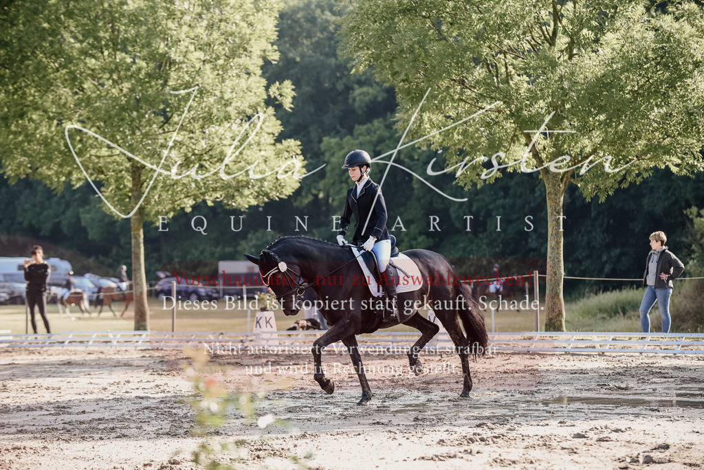 DSC_7822 | Pferde- und Turnierfotografie in Westsachsen. Pferdeportraits, Auftragszeichnungen und intuitive Kunst.
