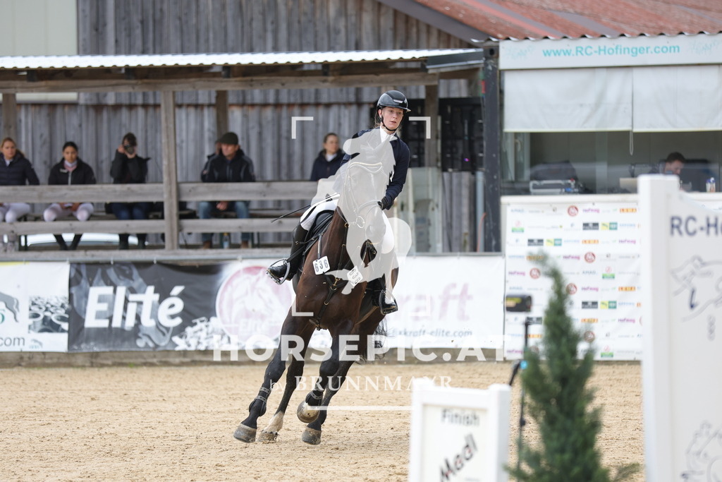 0P6A2785 | Willkommen bei Brunnmayr - Design & Fotografie – Ihrem Spezialisten für Reitturniere und Pferdeveranstaltungen in Oberösterreich, Salzburg und Bayern! Seit über 17 Jahren sind wir leidenschaftlich dabei.