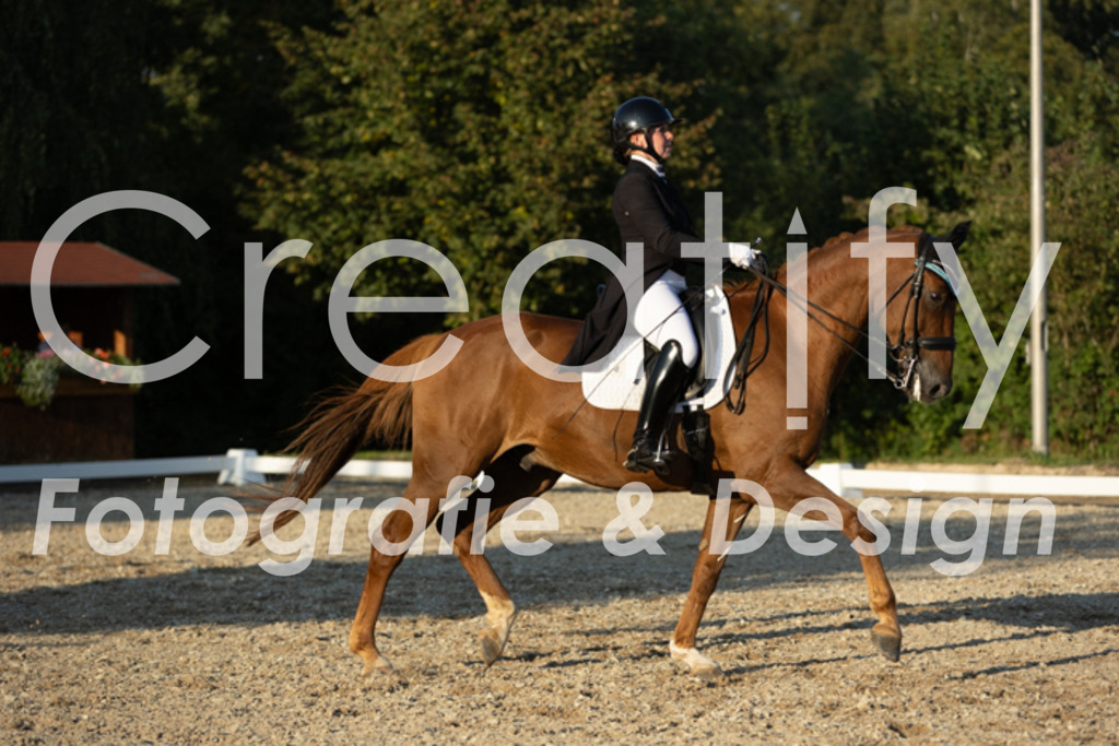 IMG_7161 | Creatify Fotografie