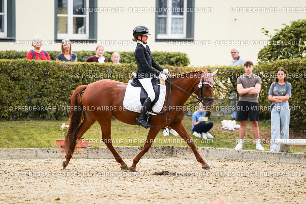 DSC00889 | Pferdegrafie