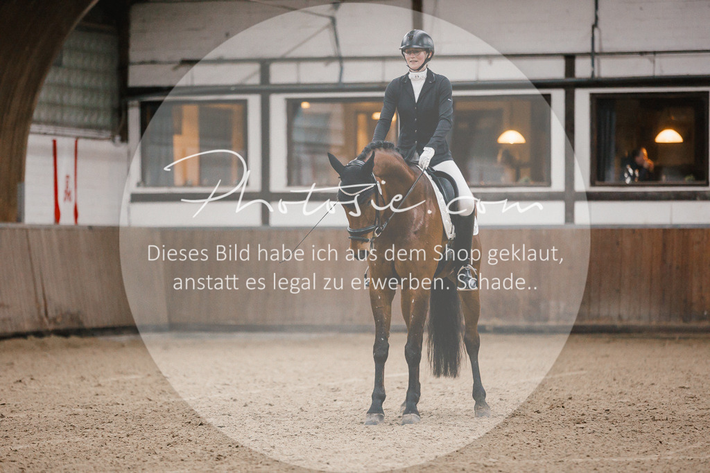 3I6A5966 | Stimmungsvolle Portraits und Reitsportfotografie im Ruhrgebiet und im Münsterland.

Pferdefotografie, Hundefotografie, Tierfotografie, Reportagen, Portraits von Tier und Mensch, Turnierfotografie in Bochum, Recklinghausen, Marl, Haltern am See, Dülmen.. - Realisiert mit Pictrs.com