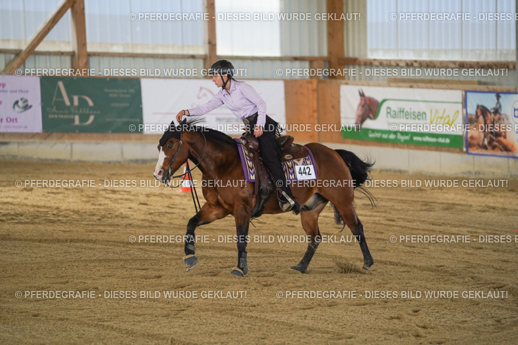 DSC01232 | Pferdegrafie