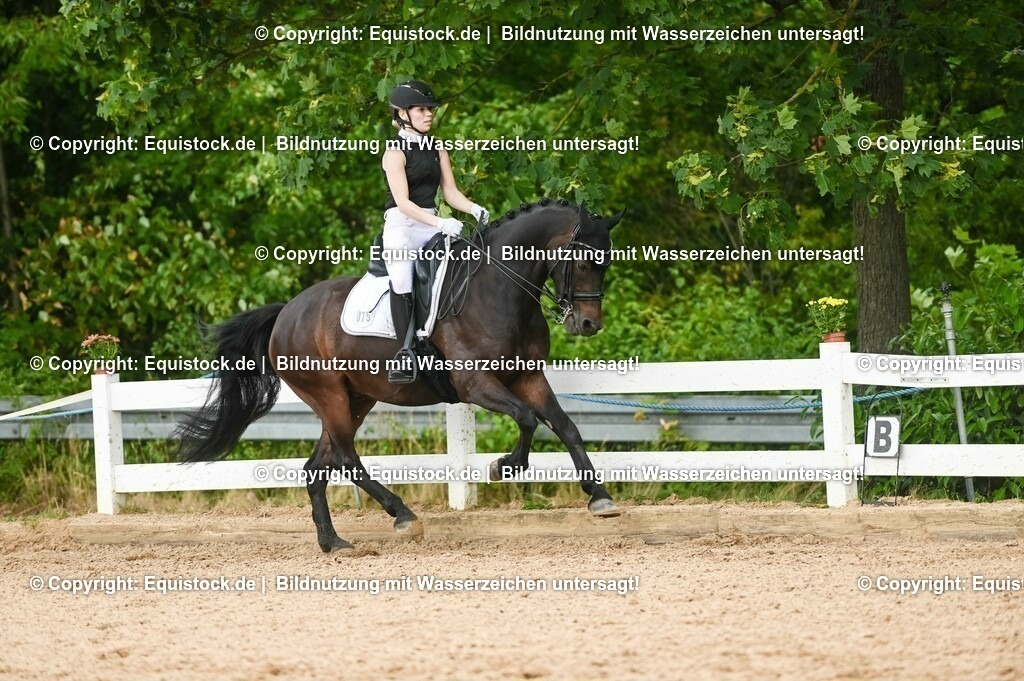 20230716_01_Dressurprüfung Kl.M_0471 | equistock