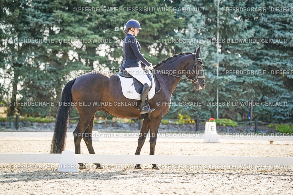 DSC09533 | Pferdegrafie