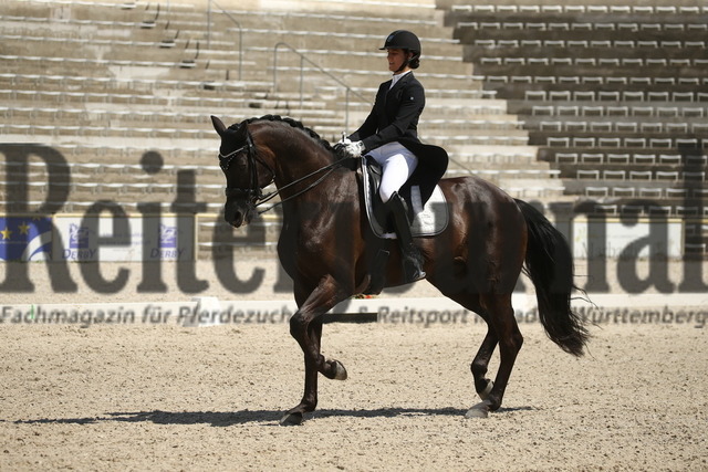 Marbach_2022_Dressurprüfung_Kl.S_Kurz-Grand-Prix_Jeannine Merit Pelzer_DSP Sammy davis jun (24) | Alle Fotos der Reiterjournal Fotografin Doris Matthaes im Reiterjournal Online-Fotoshop. - Realized with Pictrs.com