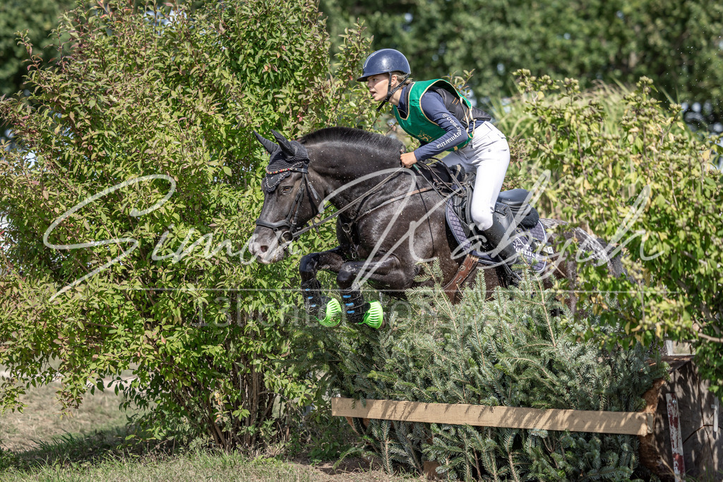 20250907-_3LI0865 | Tierfotografie Pferde, Hunde, Katzen, Haustiere.
Turnierfotografie Reitturniere, Reiten, Springreiten, Dressur in Hanau, dem Main-Kinzig-Kreis und dem Rhein-Main- Gebiet um Frankfurt