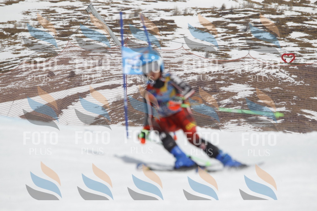 _U3G2590 | holidayphoto