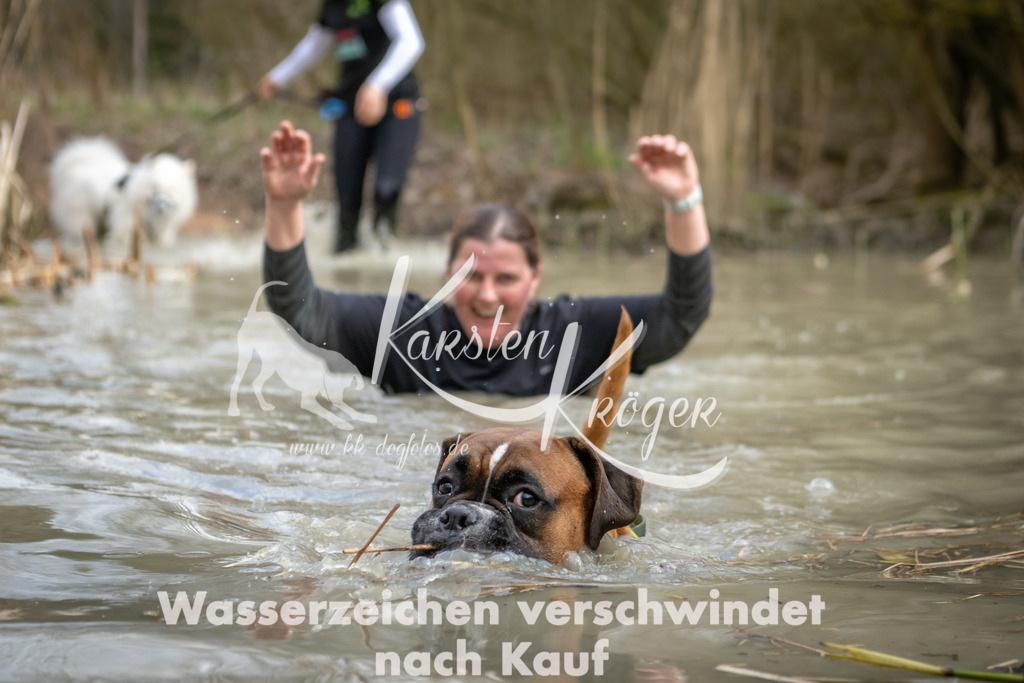 1557_ZZ94858 | kk-dogfotos