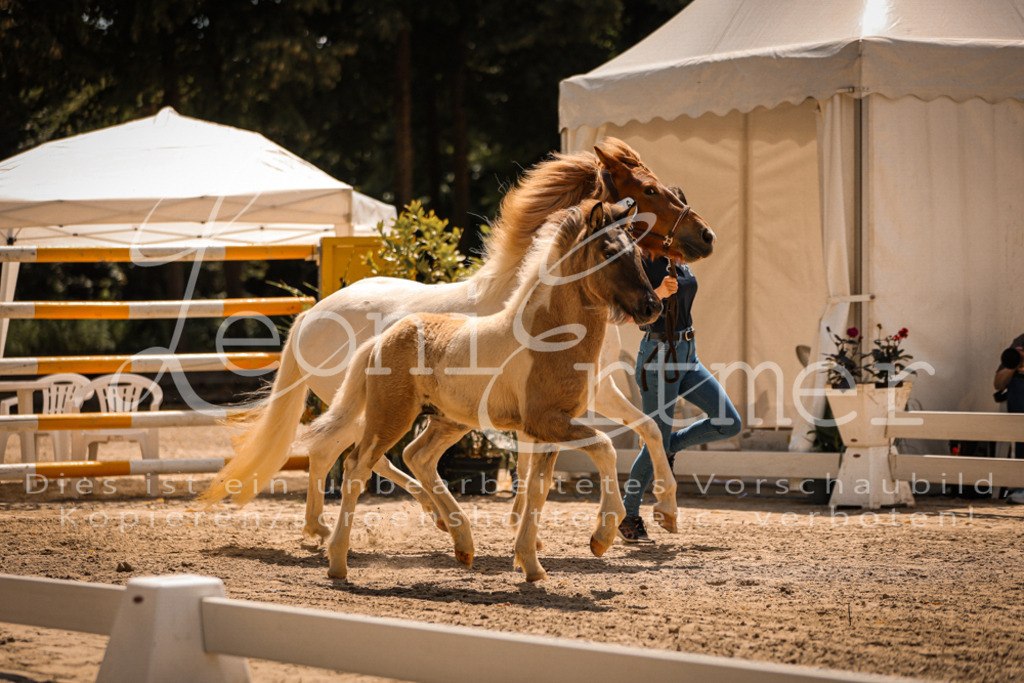 02.DoSR00014 | Leoni Ertmer Photography - Realisiert mit Pictrs.com