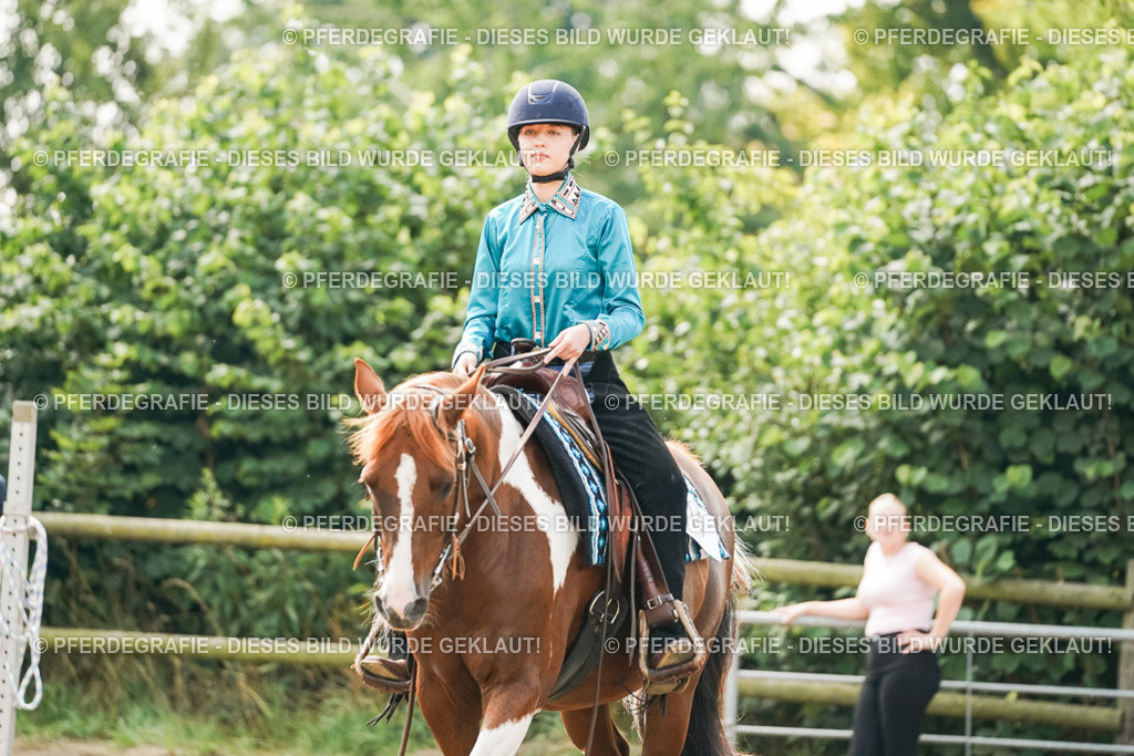 DSC04833 | Pferdegrafie