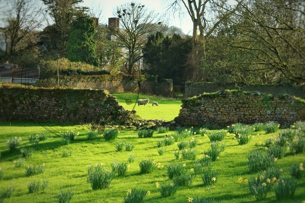 IMG_3745-01 | only.this.little.world - Realisiert mit Pictrs.com