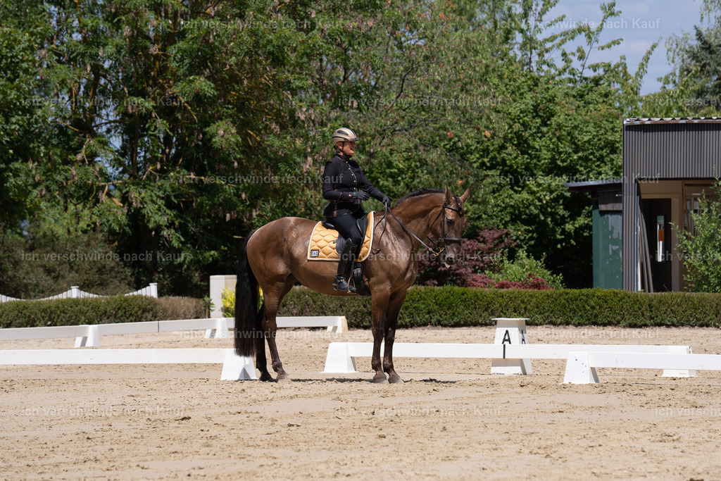 WS_DR_60_sinafilmart_IN02613 | working equitationturnier fotograf videograf stoibphotography marixx film working equitation deutschland reitsport turnierfotografie eventfotografie equestrian events