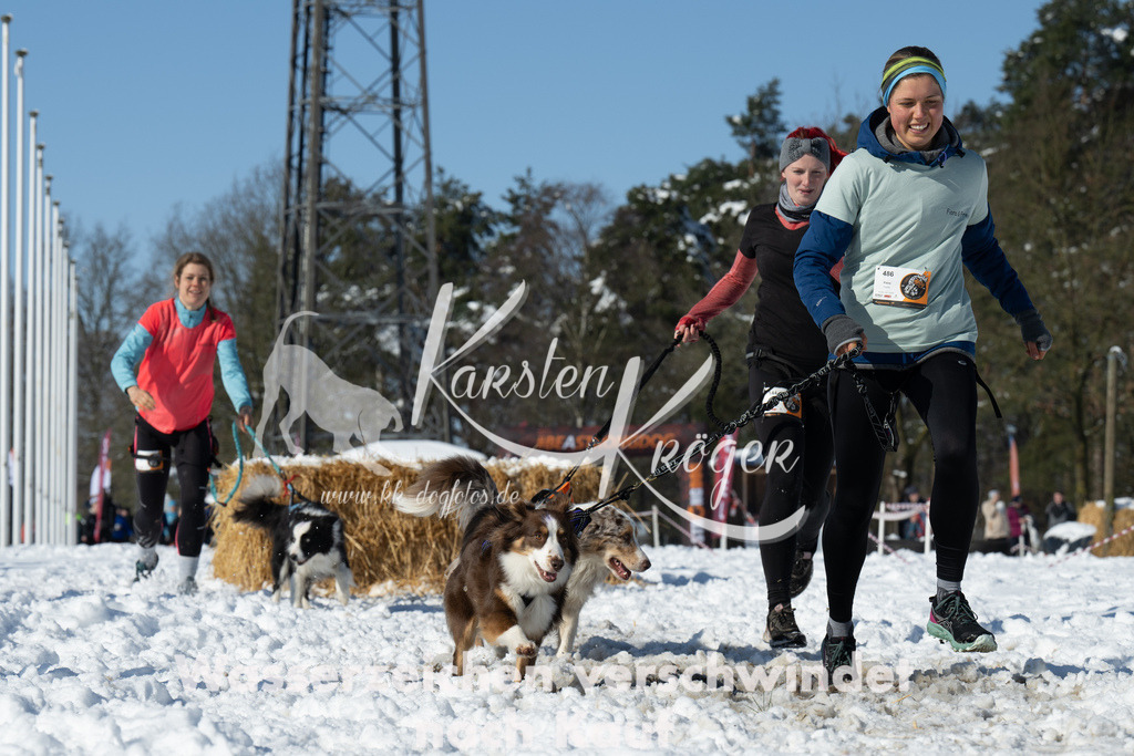 1105_ZZ94847-2 | kk-dogfotos