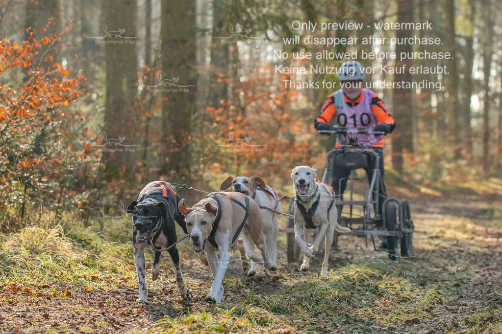 So_Gespanne-6 | stephaniefillaphotographie - Realisiert mit Pictrs.com