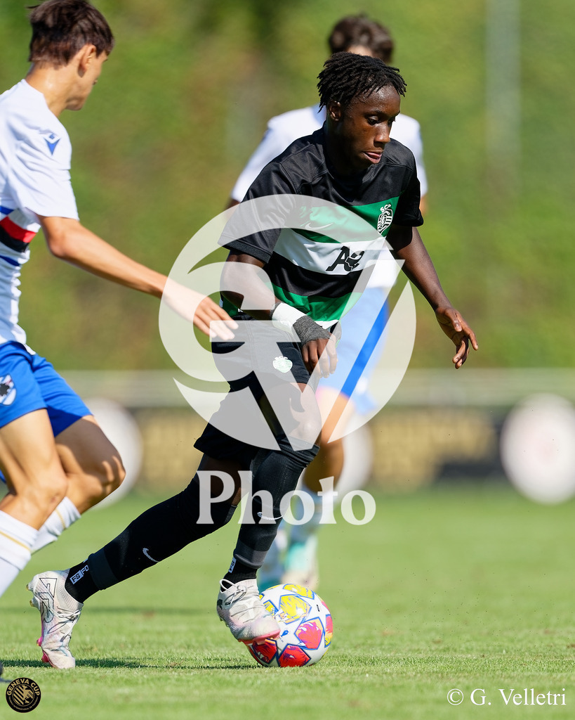 DZ9_5048 | Velletri Photo