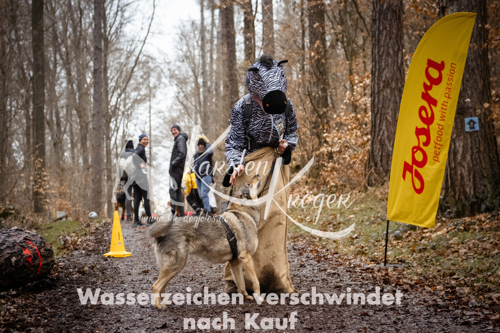 1204_ZZ93777 | kk-dogfotos