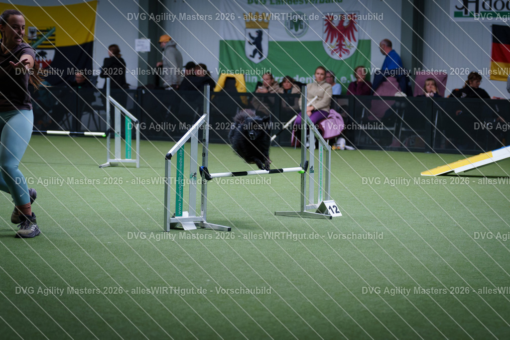 allesWIRTHgut_Tierfotografie-DVG_Agility_Masters_2026-12_29-7R502442 | Professionelle Tierfotografie in Mönchengladbach von Daniel Wirth (allesWIRTHgut). Liebevolle & natürliche Bilder von Hunden & Katzen für unvergessliche Erinnerungen.