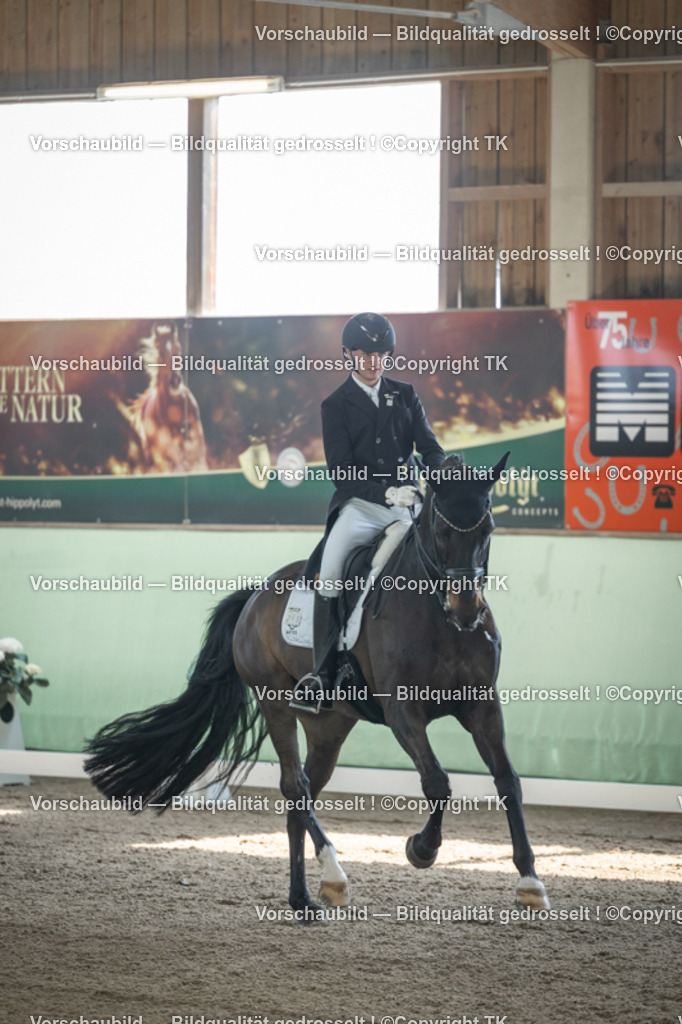 _D5A9247 | Emotionale Pferde- & People-Fotografie rund um Heidelberg, Leimen & Umgebung. Natürliche Fotos von Pferd, Mensch & Familie. Jetzt Termin sichern!