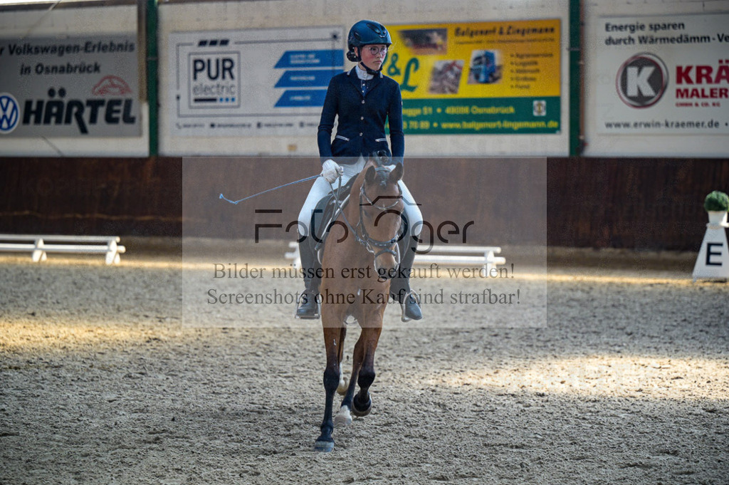Reitturnier Voxtrup | Entdecke hochwertige Reitturnierfotos von Foto Oger. Professionell, emotional und authentisch – jetzt Lieblingsmomente im Shop bestellen.Deutschlandweite Turnierfotografie. - Realisiert mit Pictrs.com