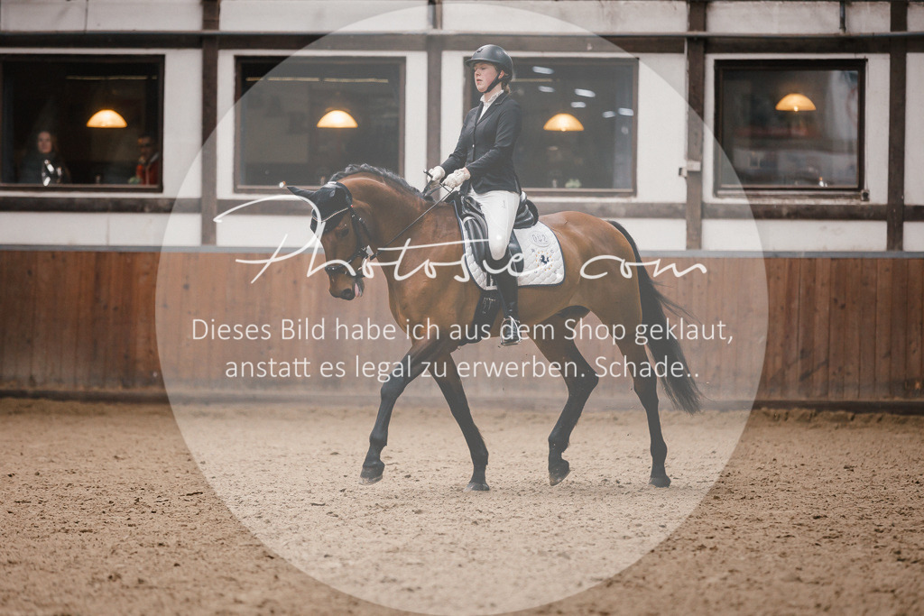 3I6A7215 | Stimmungsvolle Portraits und Reitsportfotografie im Ruhrgebiet und im Münsterland.

Pferdefotografie, Hundefotografie, Tierfotografie, Reportagen, Portraits von Tier und Mensch, Turnierfotografie in Bochum, Recklinghausen, Marl, Haltern am See, Dülmen.. - Realisiert mit Pictrs.com