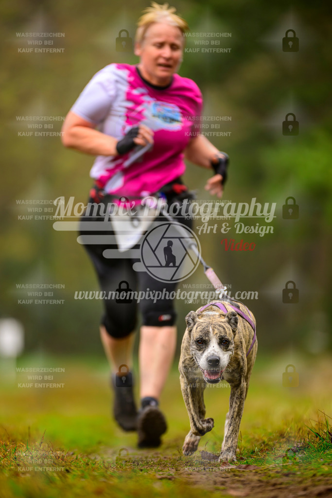 MompixPhotography_Bischwiller2025_Canicross-170 | mompixphotography