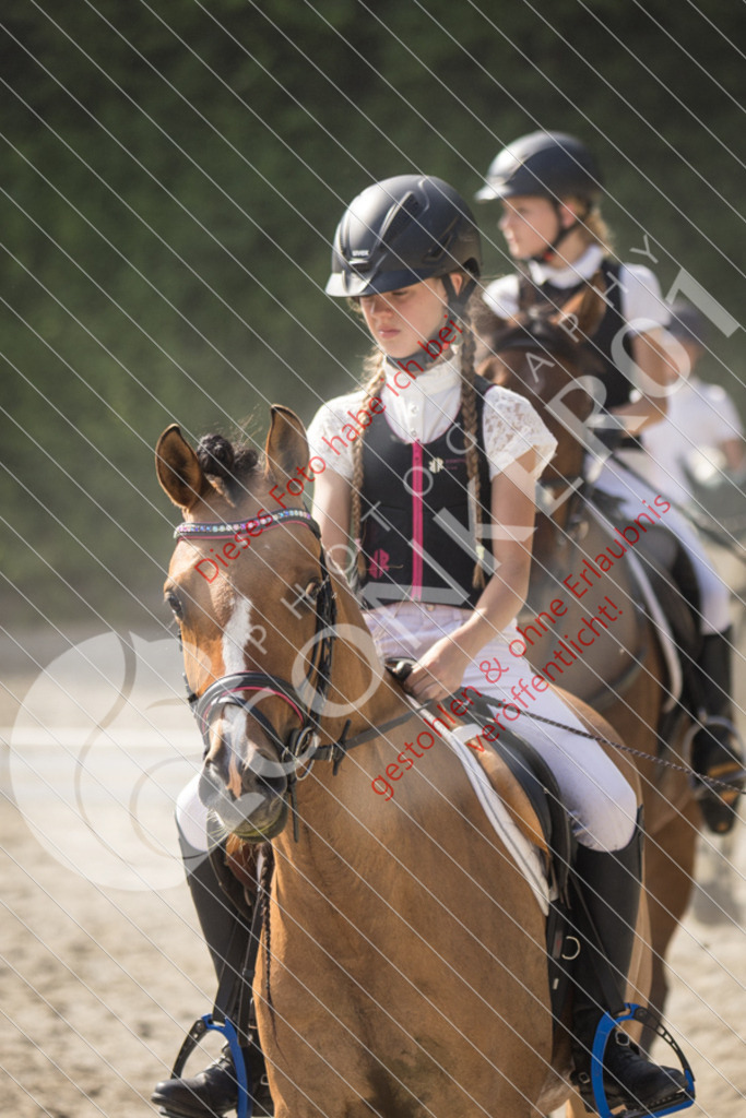 IMG_5785 | Sport-, Event- und Tierfotos in Profiqualität. Einfach auswählen, bestellen und herunterladen. Dein Moment – perfekt festgehalten.