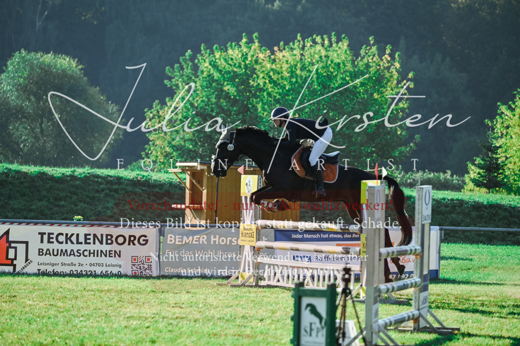 DSC_4428 | Pferde- und Turnierfotografie in Westsachsen. Pferdeportraits, Auftragszeichnungen und intuitive Kunst.