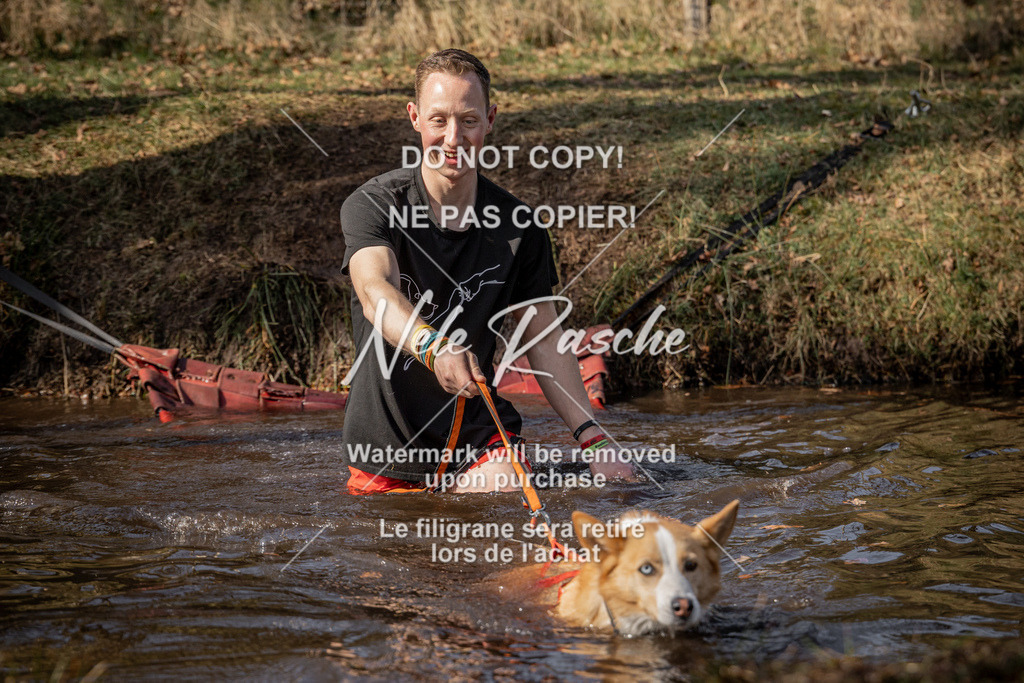 nelerasche_FS1330-1400_395 | nelerasche