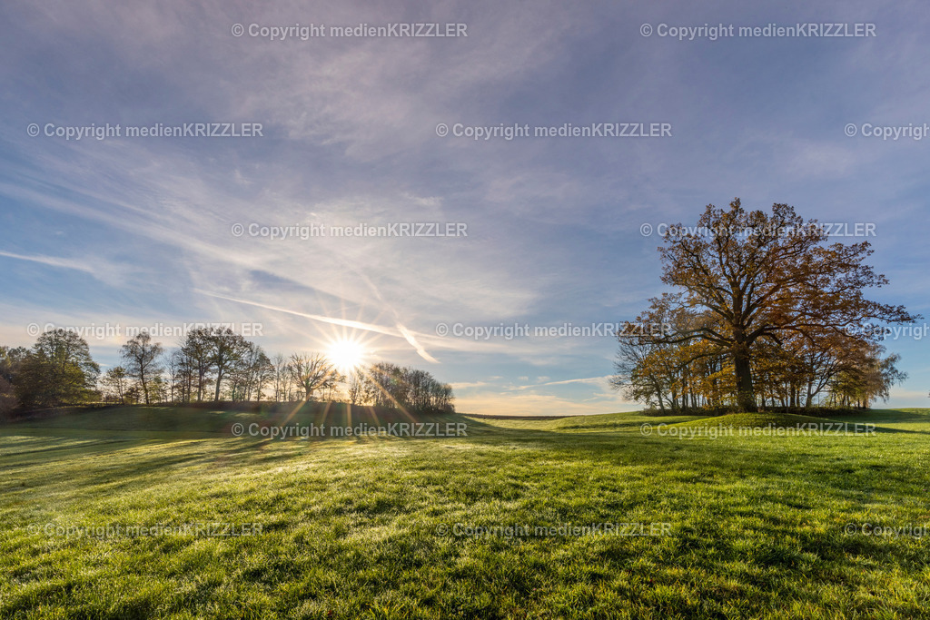 _J3A9055 | medienkrizzler - Realisiert mit Pictrs.com