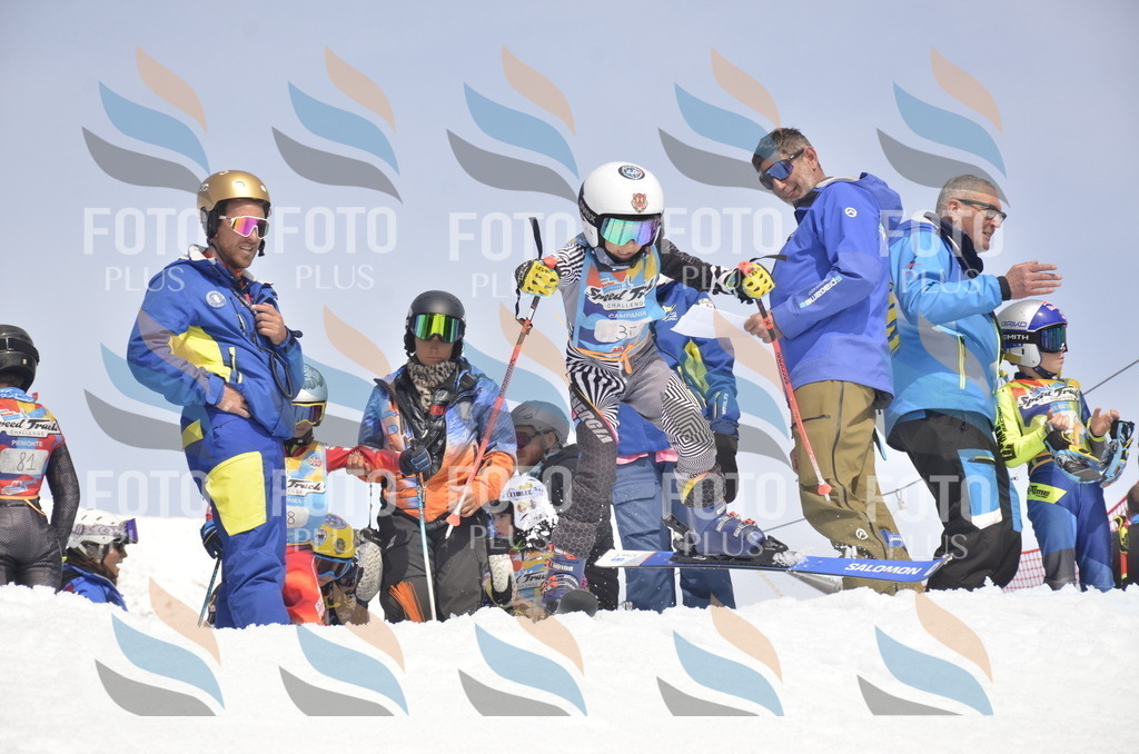 _ELE8669 | holidayphoto