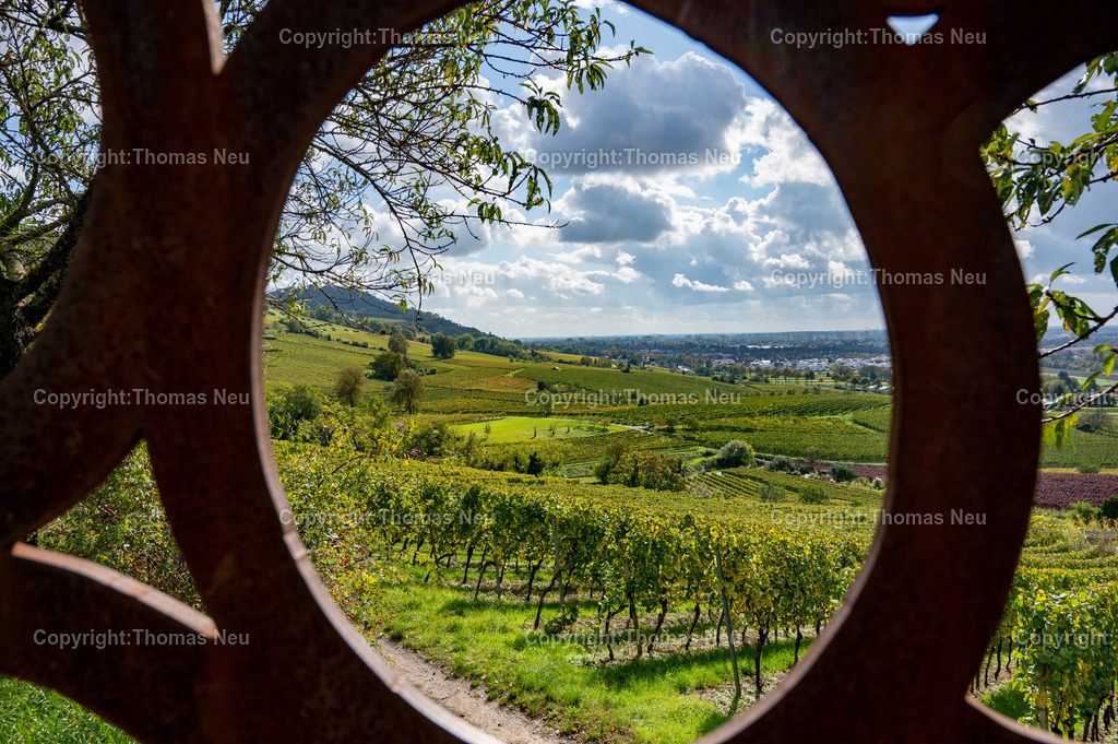 DSC_6973 | Weinberge zwischen Bensheim und Heppenheim, Herbststimmung ,Weinberge, Landschaftsfotografie,, Bild: Thomas Neu