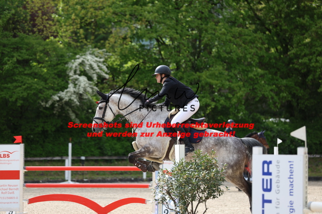 A40A5054 | lmwpictures - Realisiert mit Pictrs.com