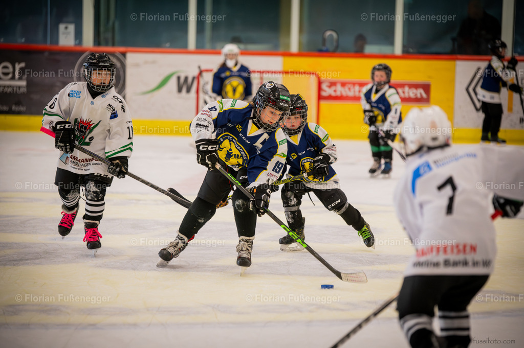 DSC_1633 | "Fussifoto.com – Ihr Ansprechpartner für hochwertige Fotografie! Entdecken Sie kreative Bilder und professionelle Dienstleistungen. Kontaktieren Sie uns für Ihre Projekte!"