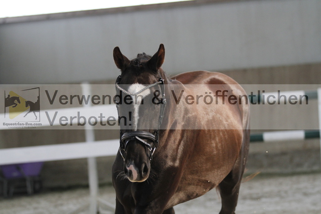 _MG_9625 | equestrian-live-com