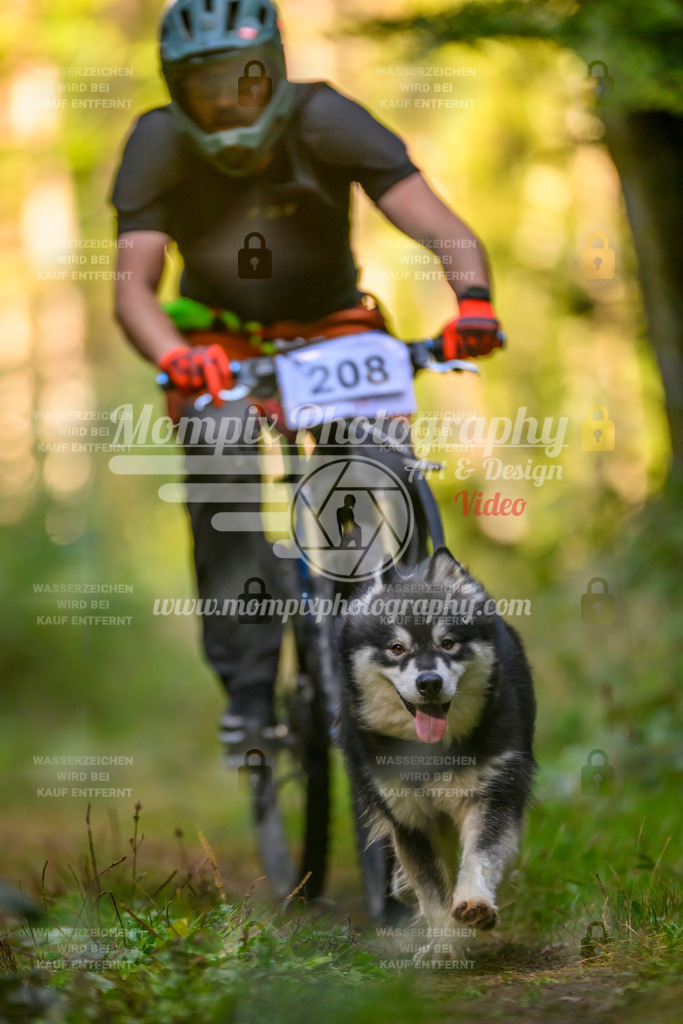 MompixPhotography_Yens2025_B3-24 | PayLife