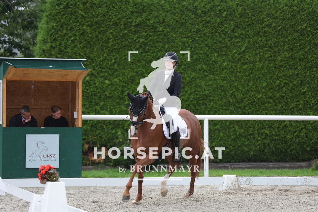 0P6A0098 | Willkommen bei Brunnmayr - Design & Fotografie – Ihrem Spezialisten für Reitturniere und Pferdeveranstaltungen in Oberösterreich, Salzburg und Bayern! Seit über 17 Jahren sind wir leidenschaftlich dabei.