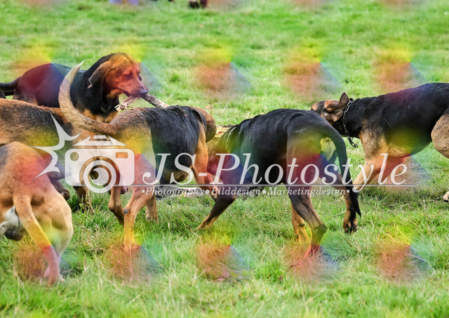 2025_Schleppjagd-30J-AH-Jagd-243 | JS-Photostyle - Sport-/Portrait- & Eventfotografie