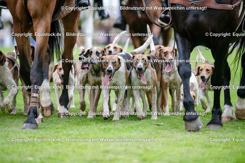 20250606_Lange-Pferdenacht_0533 | Foto: Thomas Hartig