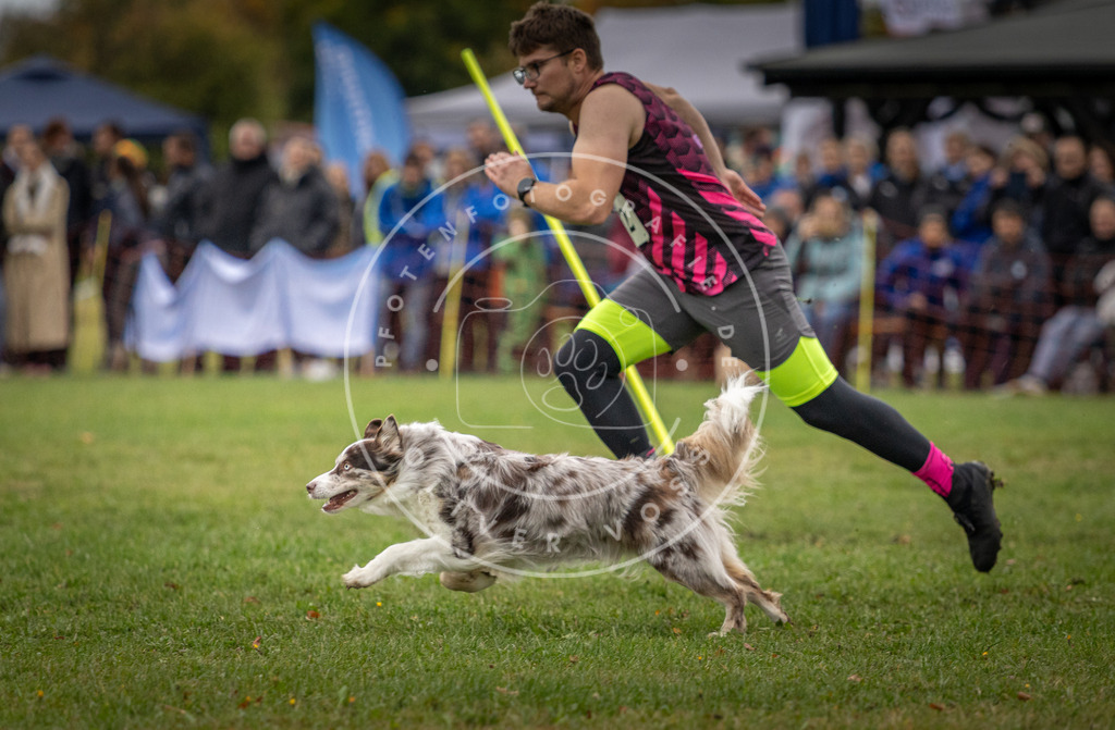 Pfotenfotografie_DV3A0258 | Hundefotografie, Tierfotograf, Pfotenfotografie, Fotoshooting Hund, Hunde Portrait, Hundesport, Hundeportraits, Heideshooting, Hunde, Sportfotograf, Hundefotograf, Turnierhundsport, THS,  - Realisiert mit Pictrs.com