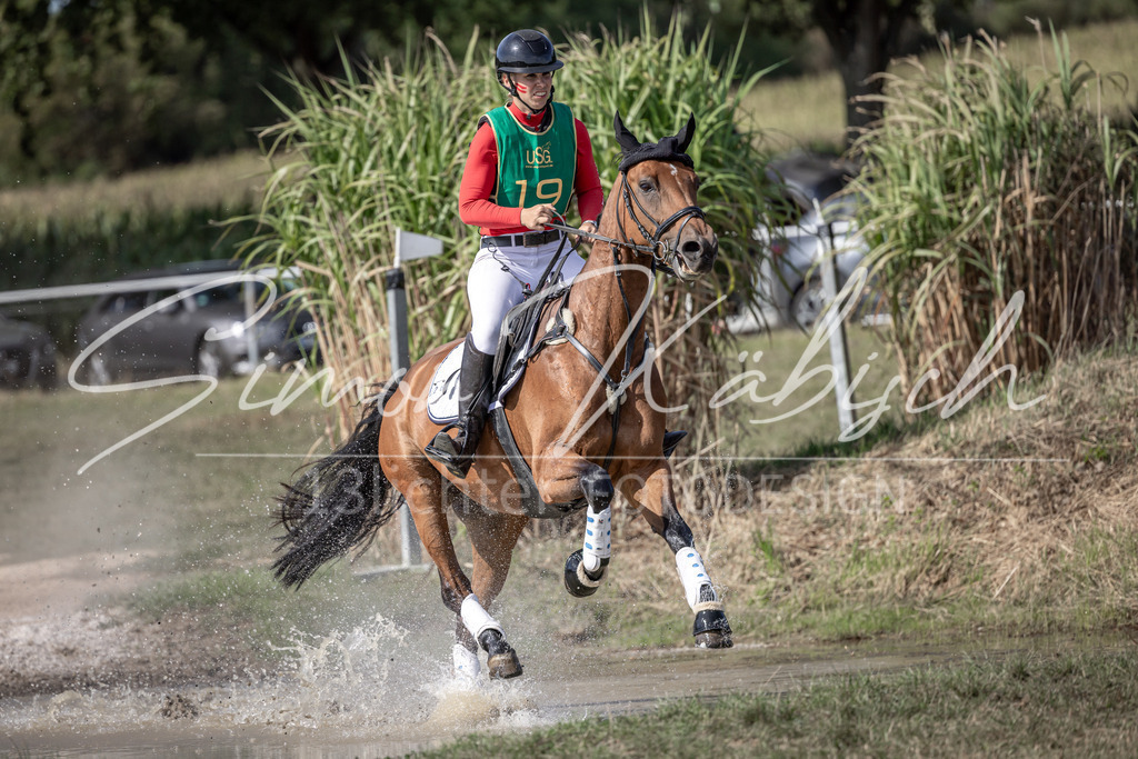 20250907-_3LI2021 | Tierfotografie Pferde, Hunde, Katzen, Haustiere.
Turnierfotografie Reitturniere, Reiten, Springreiten, Dressur in Hanau, dem Main-Kinzig-Kreis und dem Rhein-Main- Gebiet um Frankfurt