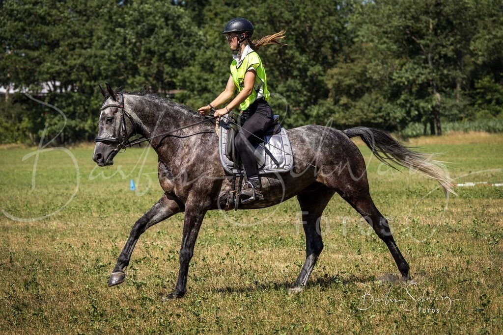 CJP_2026-06-26_93 | Stimmungsvolle Fotografie von Pferden, fotografische Begleitung von Veranstaltungen, Golfturnieren und Distanzritten - Realisiert mit Pictrs.com