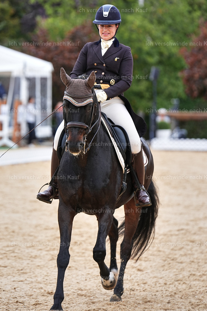 11-191-Dressur S___-Marixx-1794 | working equitationturnier fotograf videograf stoibphotography marixx film working equitation deutschland reitsport turnierfotografie eventfotografie equestrian events