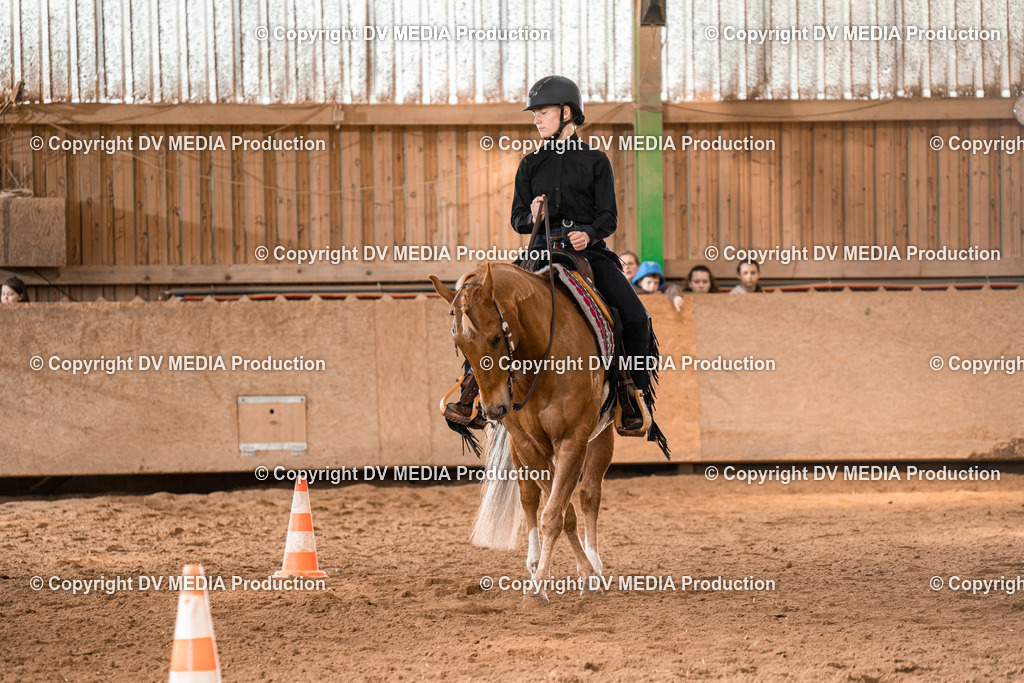 BAL01720 | dv-media-shop - Realisiert mit Pictrs.com