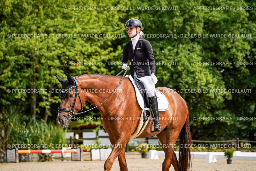 DSC08489 | Pferdegrafie