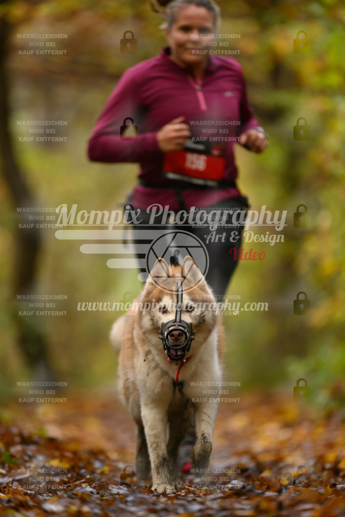 MompixPhotography_CD7S_DI_CCL-162 | mompixphotography