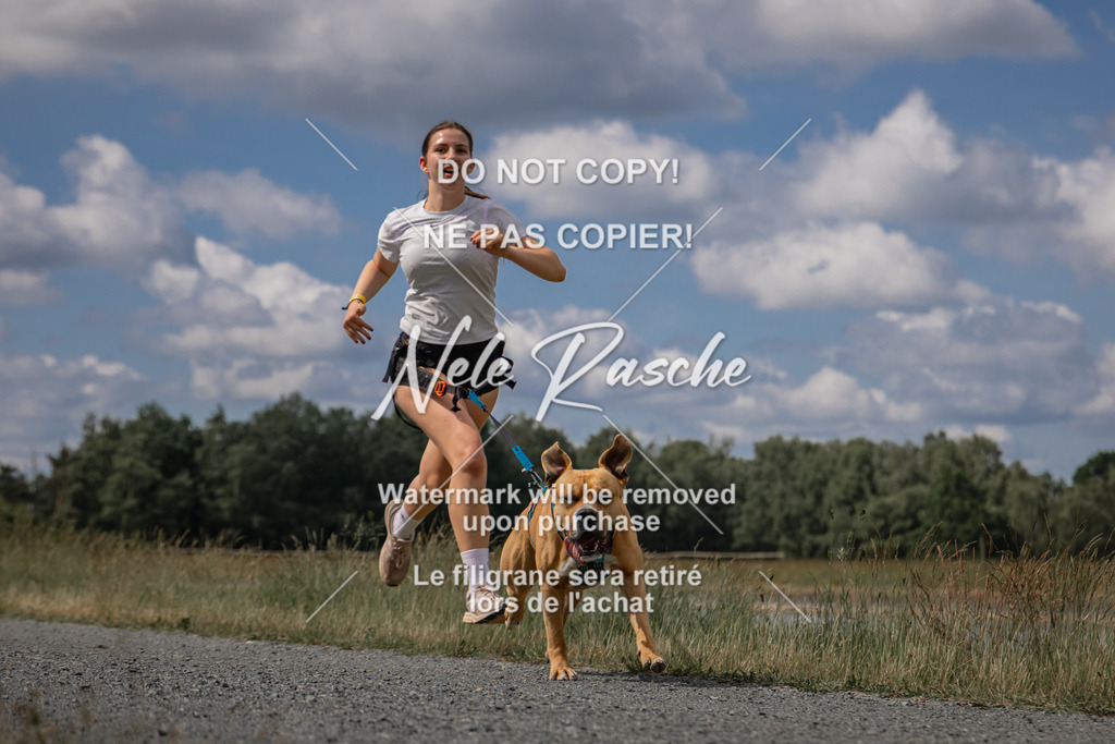 nelerasche_BuHu2026_SaCC1100-1200_15 | nelerasche
