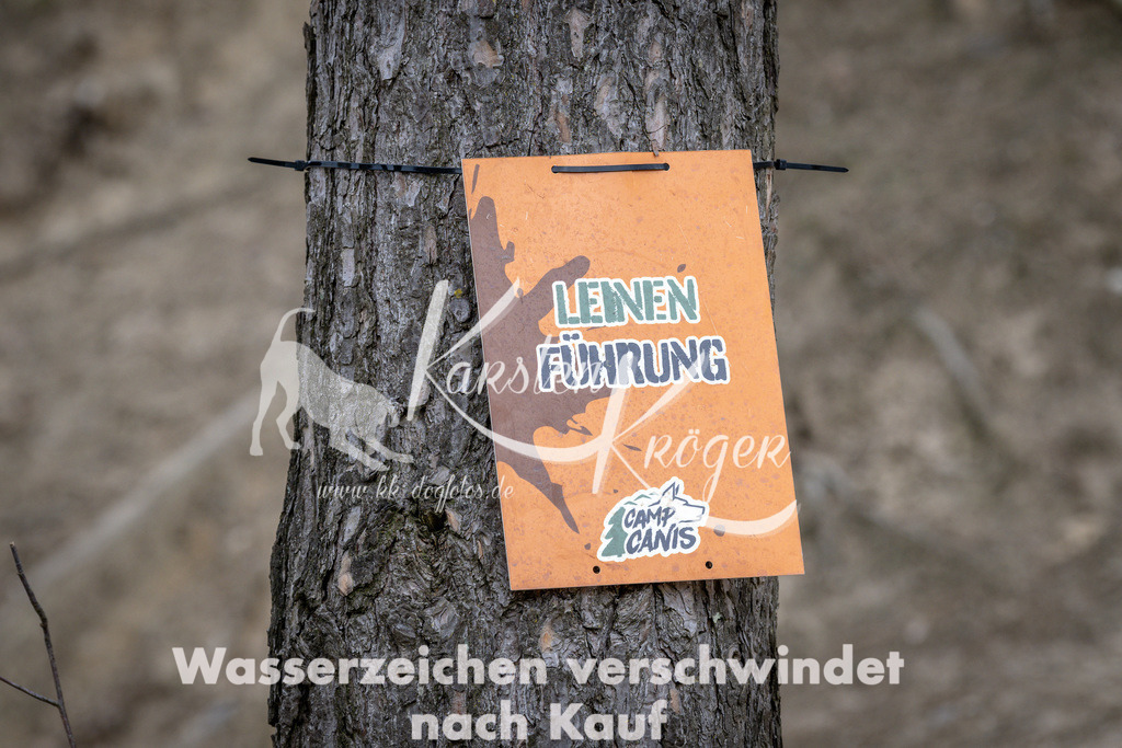 1230DSC_1952 | kk-dogfotos