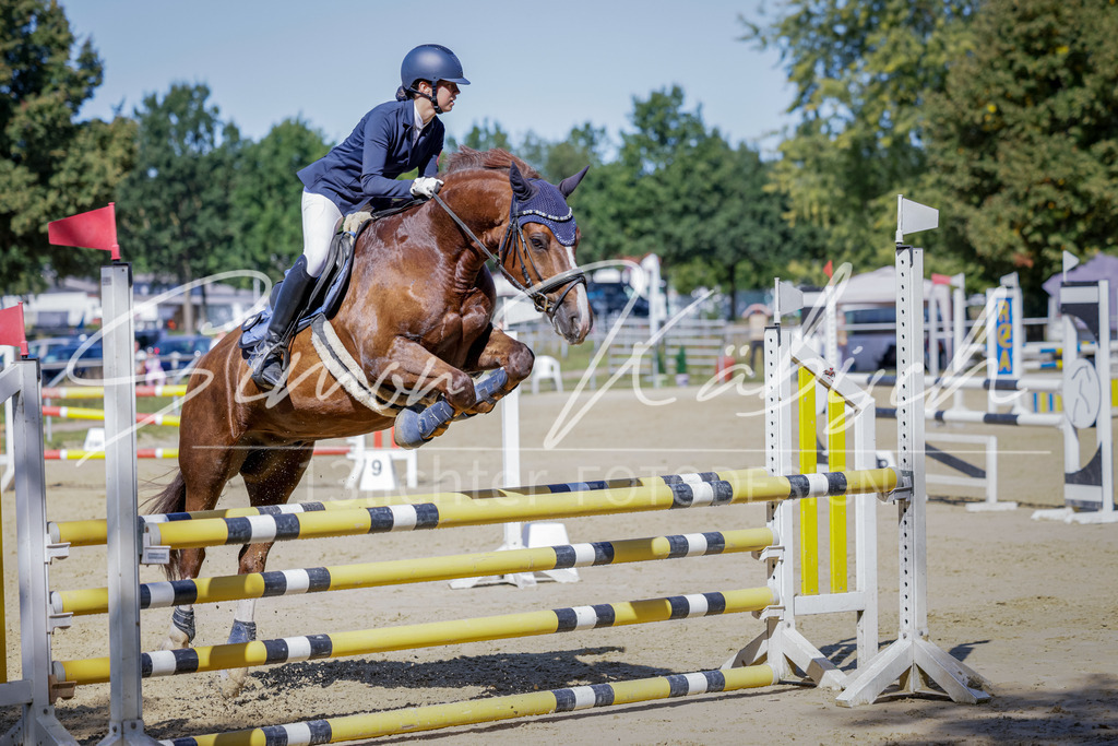 20250906-_3LI3886 | Tierfotografie Pferde, Hunde, Katzen, Haustiere.
Turnierfotografie Reitturniere, Reiten, Springreiten, Dressur in Hanau, dem Main-Kinzig-Kreis und dem Rhein-Main- Gebiet um Frankfurt