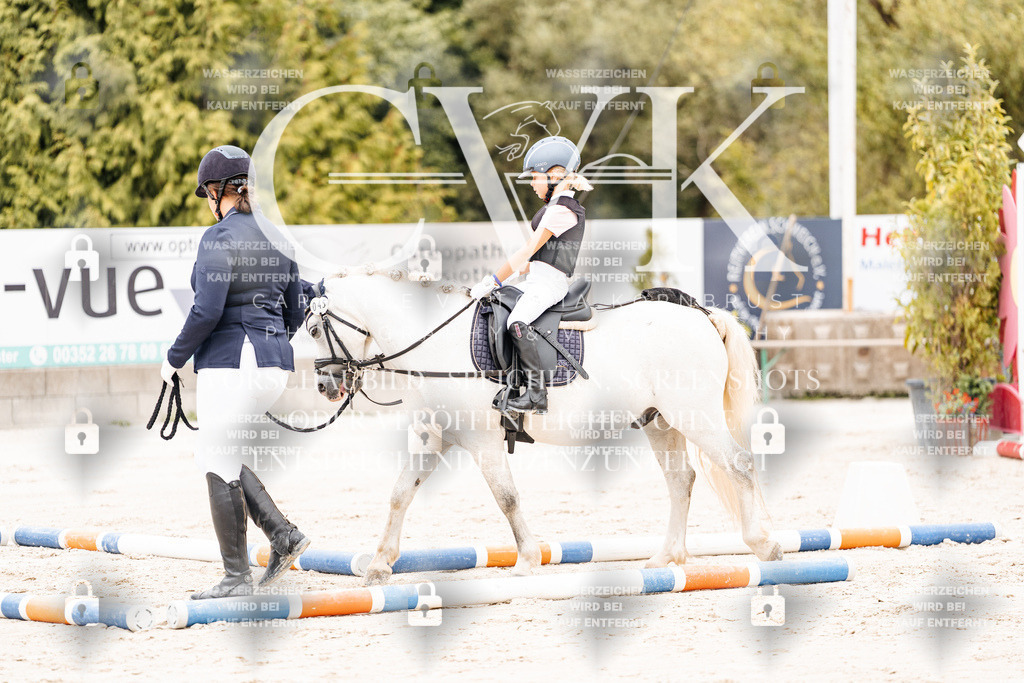 CK907354 | Turnierfotografie Pferdefotografie Trier Rheinland-Pfalz Pferdesport Reitsport Tierfotografie Sportfotografie Pferdevideo Pferdevideografie Equestrianvideography equestrianphotography  - Realisiert mit Pictrs.com