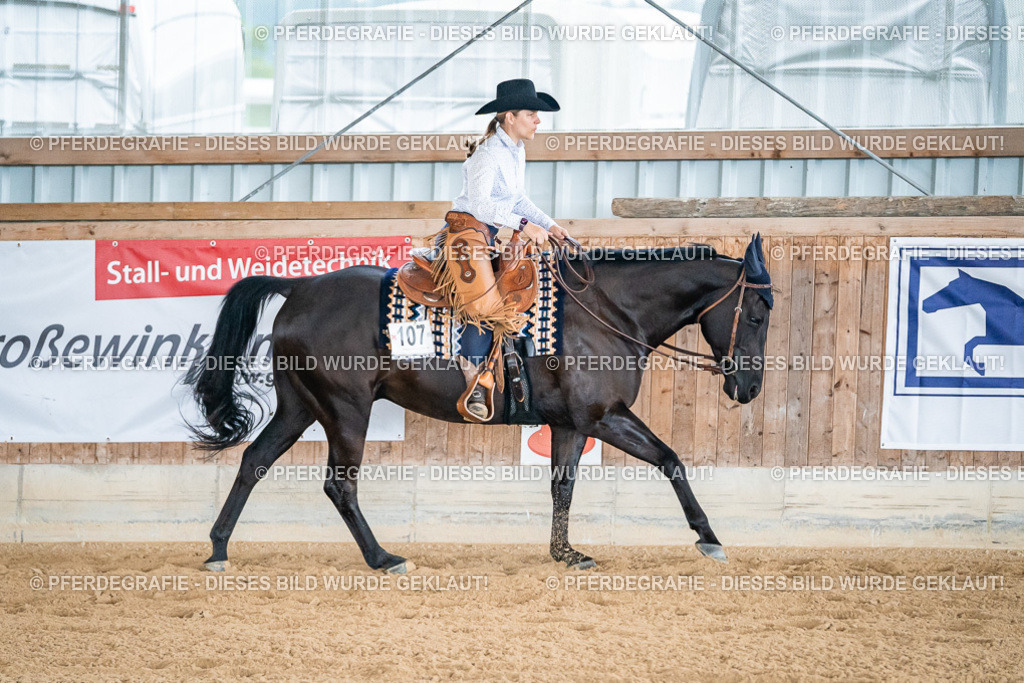 DSC00044 | Pferdegrafie